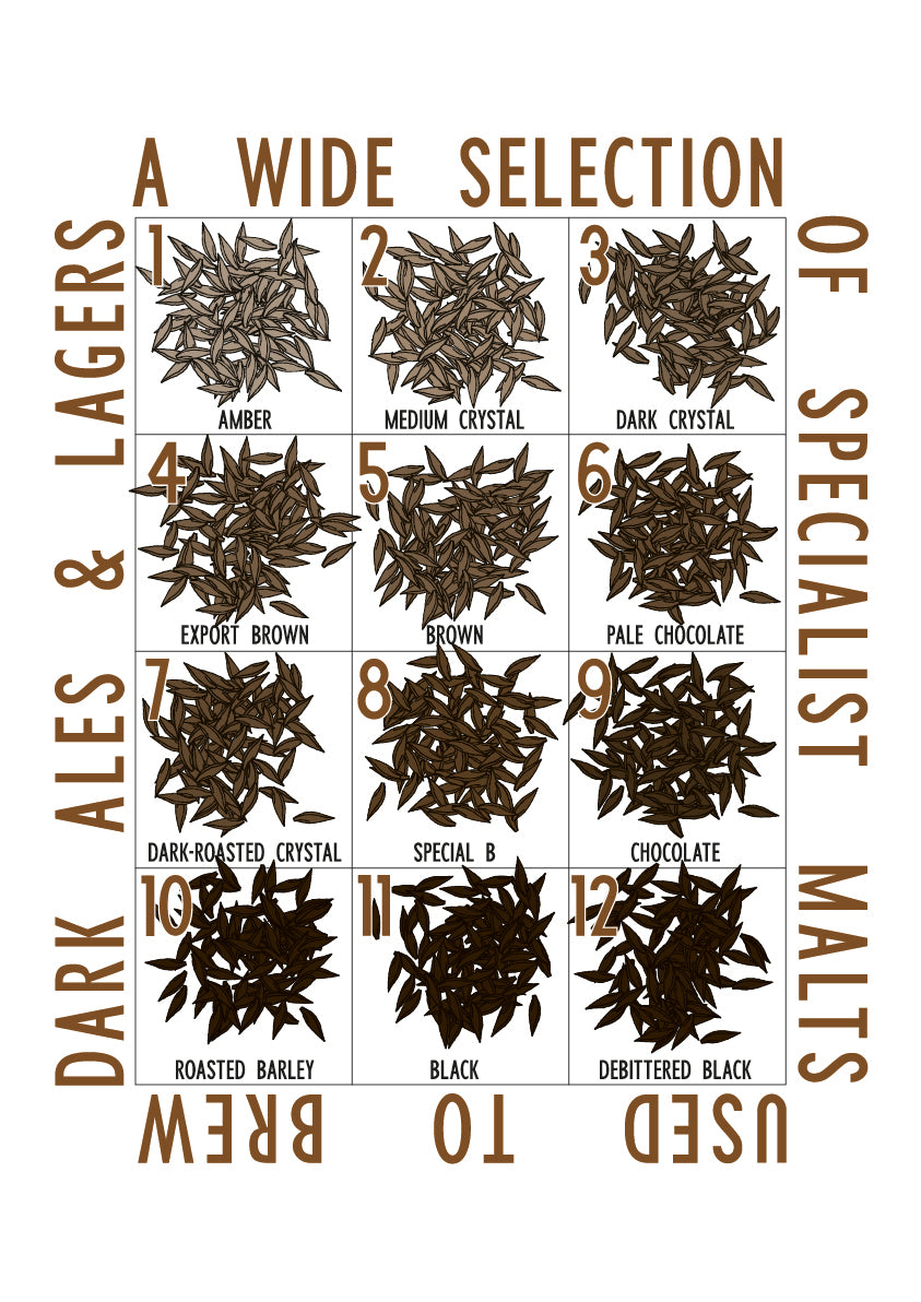 Advent Calender topper depicting dark ales and lagers with specialist malts used in brewing